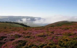 exmoor